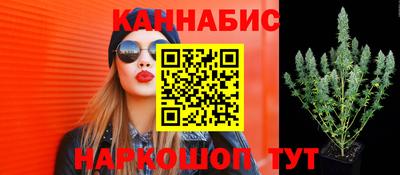 эйфоретик Свободный