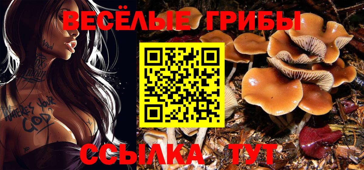АМФЕТАМИН Ржев