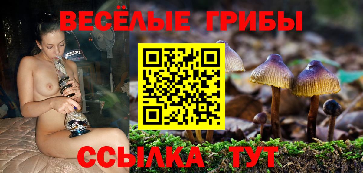 Псилоцибиновые грибы Magic Shrooms Ржев